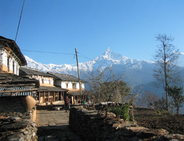 Dhampus Trek