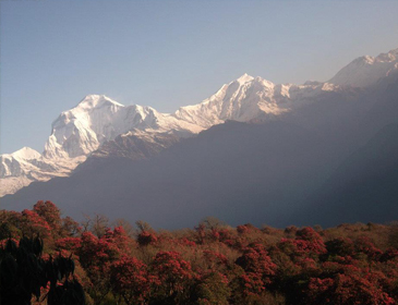 Ghorepani Poon hill Trekking